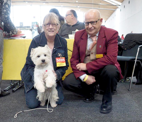 Fynn - Deutscher Jugend-Champion VDH