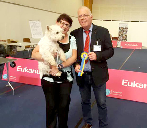 Leo - Schweizer Jugend-Champion und Alpensieger