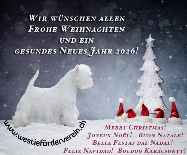 Frohe Weihnachten und ein gesundes Neues Jahr 2026